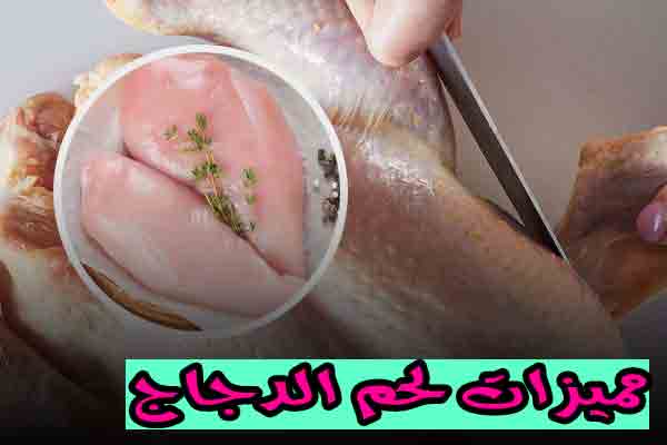 مميزات لحم الدجاج - Nooh Freestyle