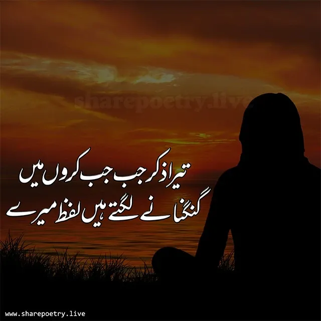 2 Lines Poetry In Urdu - Urdu Shayari (Copy-Paste)