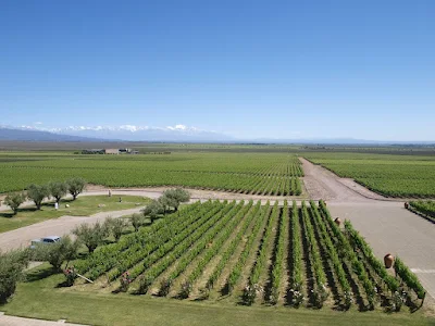 Paisaje desde Bodega Monteviejo