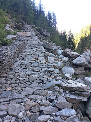 Pathway consisting of loose stones.in " Valley of Flowers".