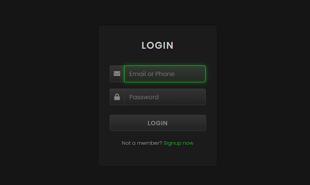 Stylish Login Form