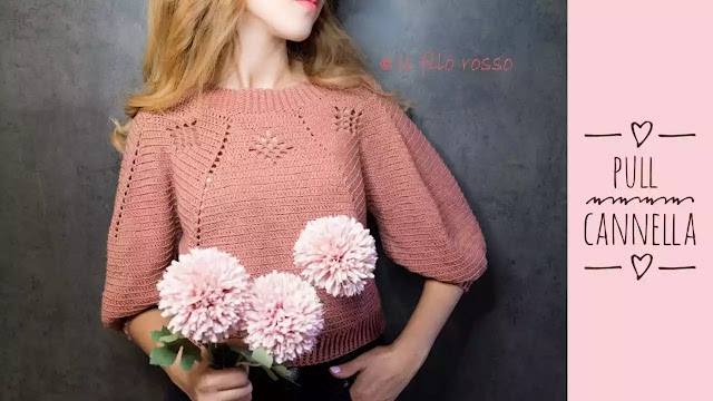 PASO A PASO GRATIS de Blusa Pull Cannella