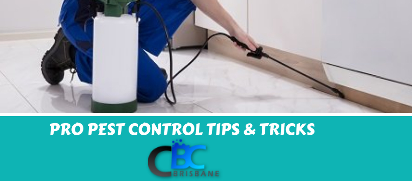 pest control tips