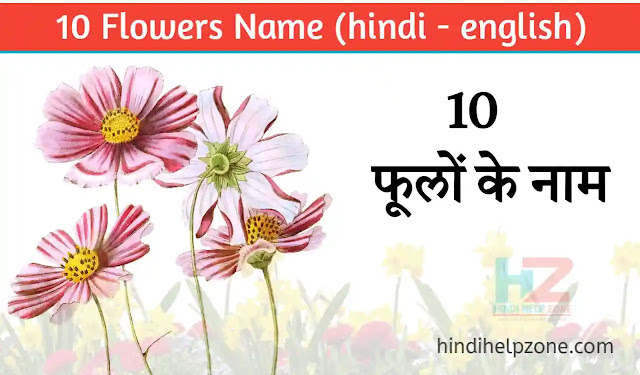 10 Flowers Name (hindi and english) - 10 फूलों के नाम