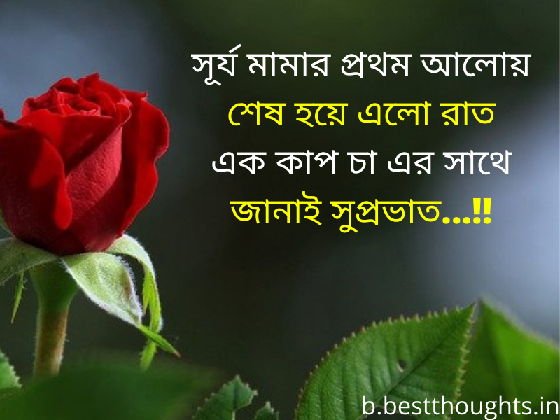 good morning wishes in bengali