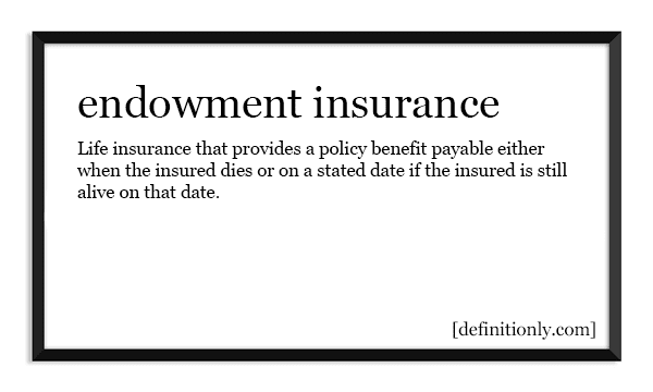 What is the Definition of Endowment Insurance?