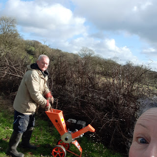 Smiling man loads sticks into a bright orange wood chipper, blue sky and white cloud above