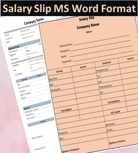 Employee Salary Slip Templates  In Excel Format