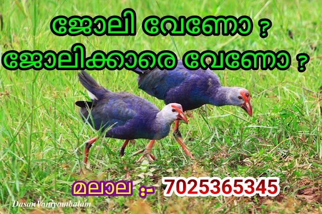 പി എസ് സി പരീക്ഷകളിൽ മാററം:-