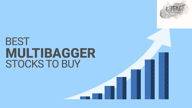 Best 7 Stock TO Buy Now | बेस्ट 7 स्टॉक अभी खरीदें | Multibagger Stocks |