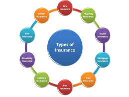 What are the 7 main types of insurance?