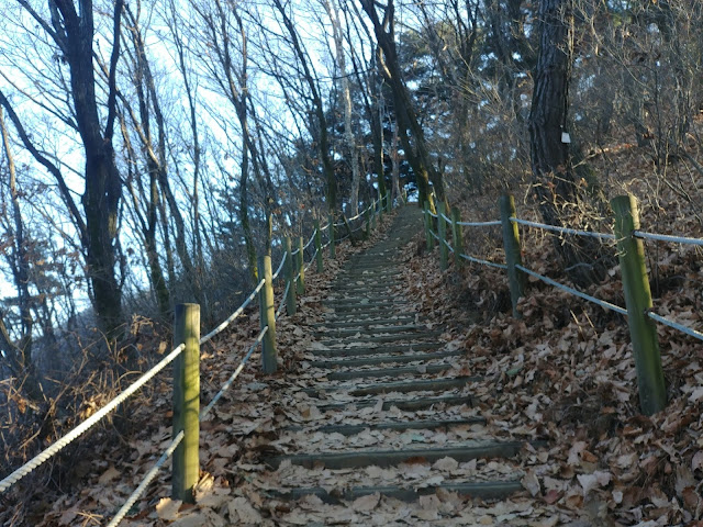 검단산 팔당대교 하산 코스