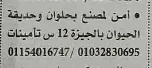 اعلانات وظائف أهرام الجمعة اليوم 4/2/2022