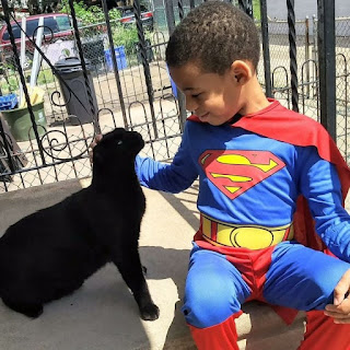 La historia del niño de 5 años que se disfrazaba de superhéroe para ayudar a los gatos sin hogar