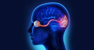 Important term & Points in neurophthalmology