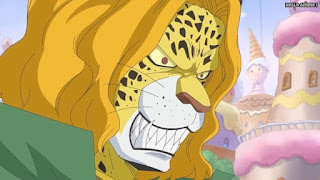 ワンピースアニメ WCI編 816話 ペドロ PEDRO | ONE PIECE Episode 816