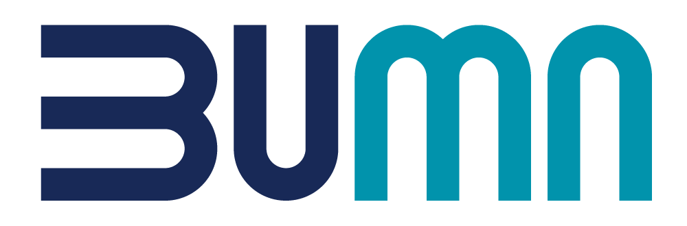 bumn logo