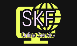 SKF Service 10