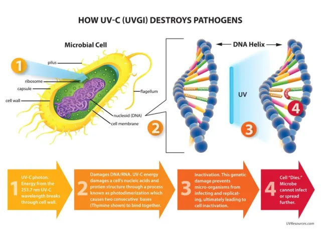 La storia ormai sepolta della disinfezione UV