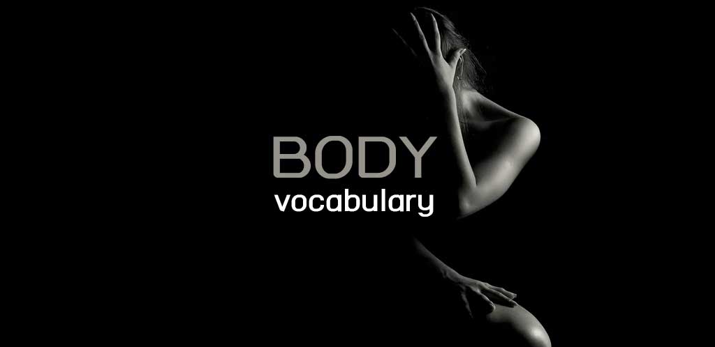 Body vocabulary