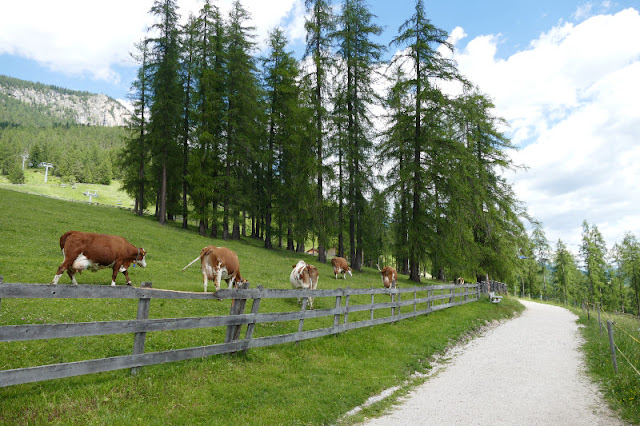 sentiero dei laghi Tru di Lec in Alta Badia