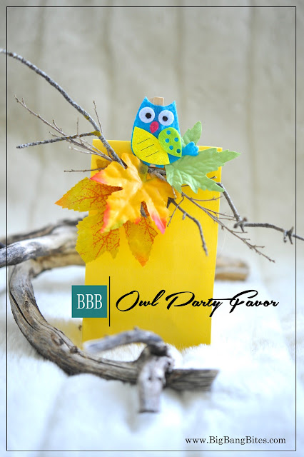 Owl Party Favor