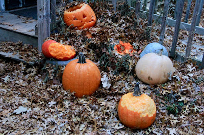 post-Halloween pumpkins nibbled on by ....?