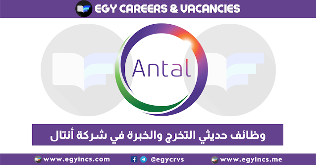 التقديم لوظائف حديثي التخرج والخبرة في شركة أنتال انترناشونال Antal International Careers