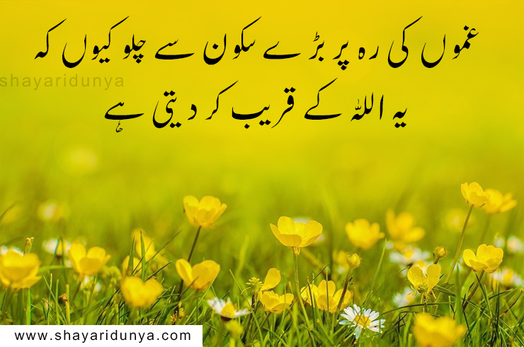 top 20 Best islamic quotes in urdu,islamic status in urdu,islamic quotes images,islamic quotes in urdu about life,islamic heart touching quotes