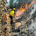 Extinguido incendio forestal en el Cerro El Campanario en Rubio 