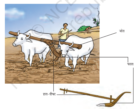 Agriculture Implements