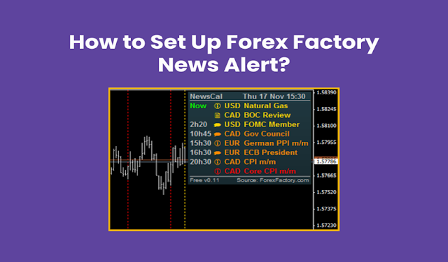 How to Set Up Forex Factory News Alert?