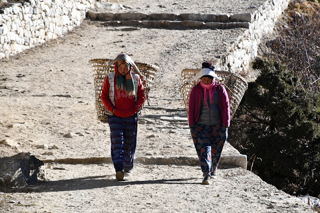 sherpa_carregador_everest_trekking