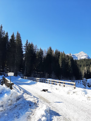 Laghetto Ziegelhutte di Sappada