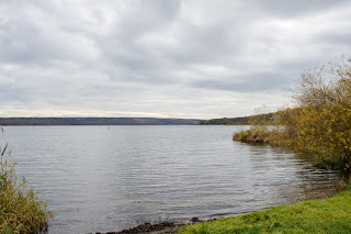 Naturfotografie Schwielowsee Havel Schloss Petzow