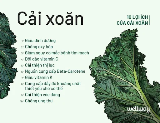 Bột Cải Xoăn nguyên chất