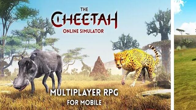 Download Now The Cheetah Game For Android And Pc