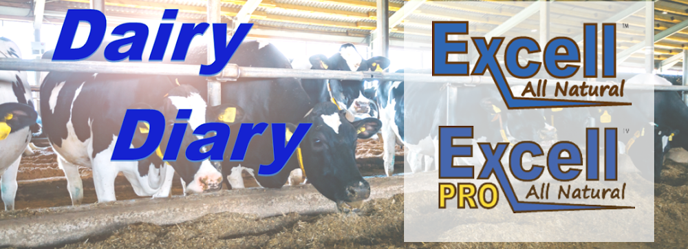 Dairy Diary