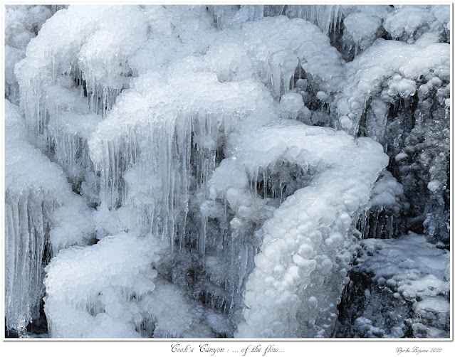 Cook's Canyon: ... of the flow...