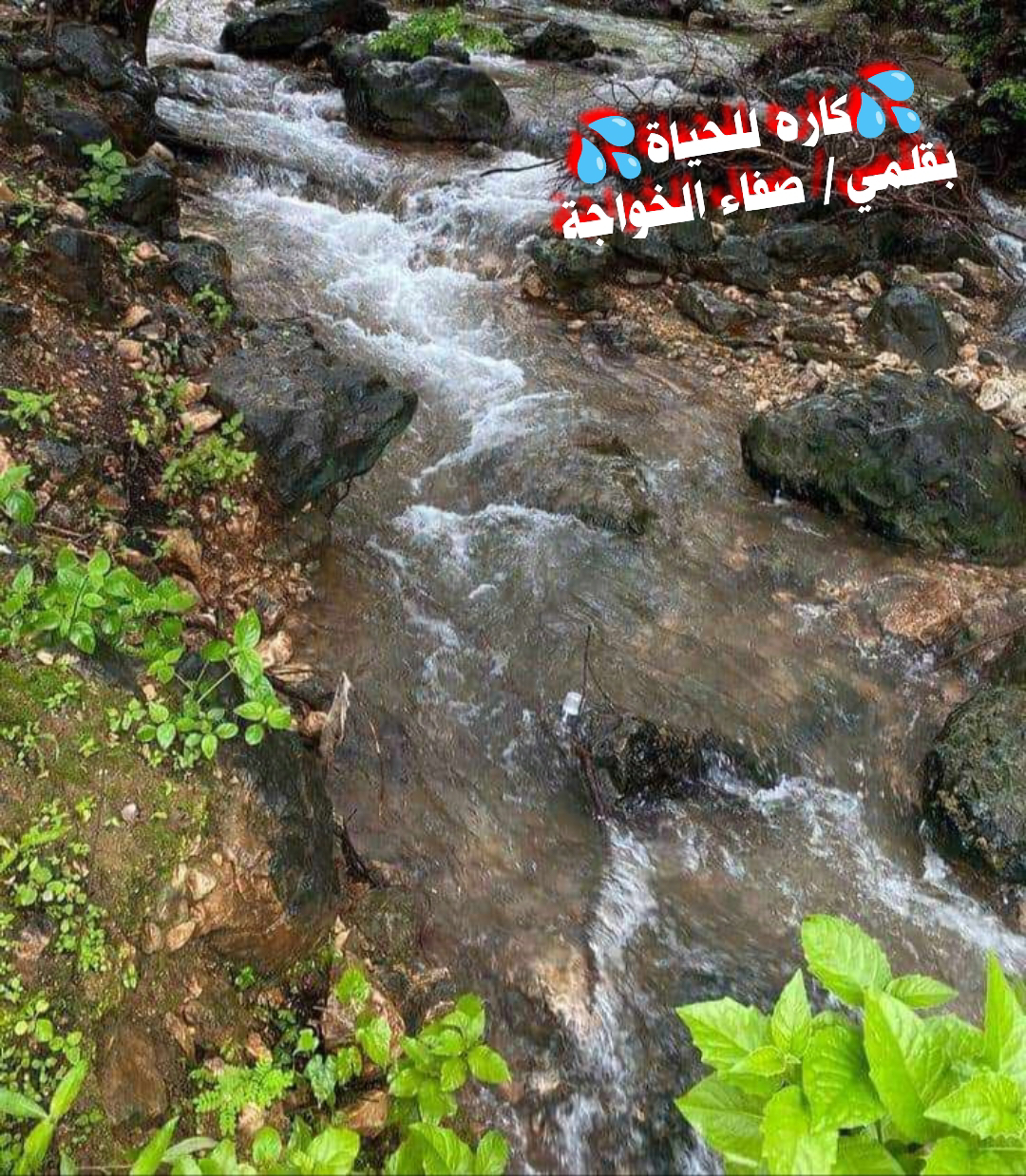 صورة