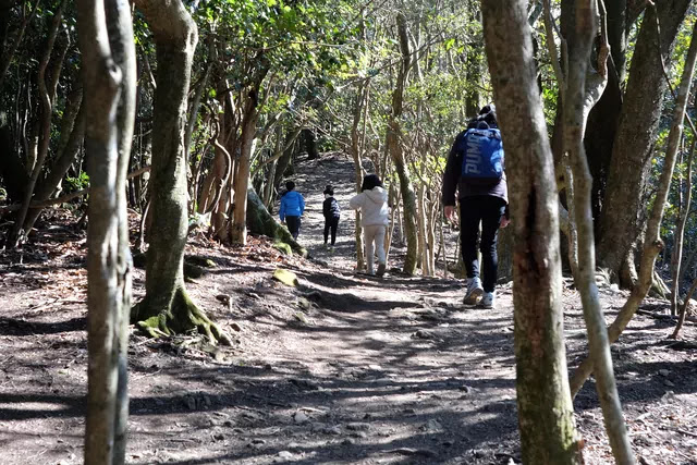 山頂は目の前