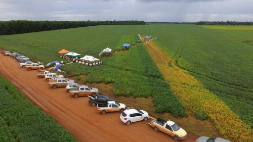 Multinacional do agronegócio anuncia instalação em Vilhena durante reunião com prefeito e secretários