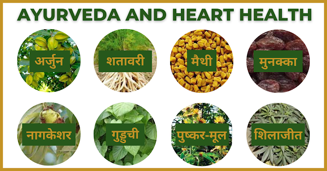 AYURVEDA AND HEART HEALTH