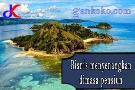 https://www.gankoko.com/2020/11/bisnis-menyenangkan-dimasa-pensiun.html