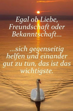 Der Tagesspruch