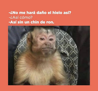 memes dominicanos,memes en español,memes latinos,memes sad,memes graciosos,consejos de leyla,memes,memes divertidos,chistes,imagenes divertidas,