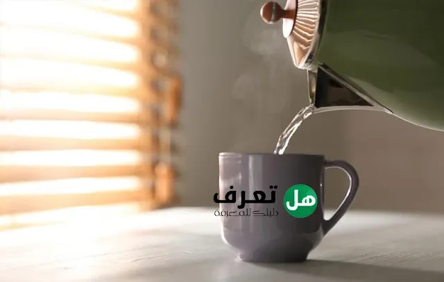 10 فوائد لشرب الماء الدافئ لتنظيم الهضم وإزالة السموم وصحة الجسم