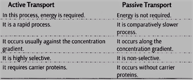 Differences between Active and Passive Transport