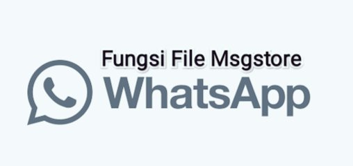 fungsi msgstore whatsapp dihapus