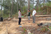 Perambahan Hutan Yang Tidak Bertanggung Jawab di Hinalang Kecamatan Purba, Camat: “Itu Bukan Perambahan Hutan”